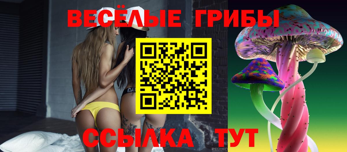 Галлюциногенные грибы Psilocybe  где купить наркоту  Красноперекопск  Вход с VPN 